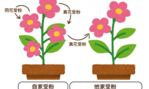宛西制药的全名是什么-宛西制药是哪里的、宛西制药一览表 -宛西降压片有什么副作用网