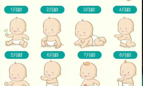 宛西制药是上市公司吗-宛西制药是哪里的、宛西制药一览表 -宛西降压片有什么副作用网